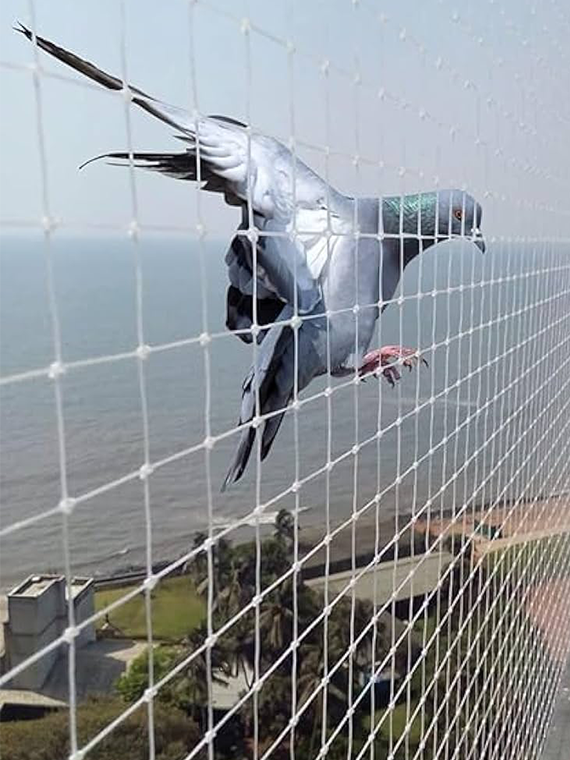 anti-bird-nets