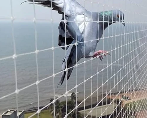 anti bird nets anti bird nets