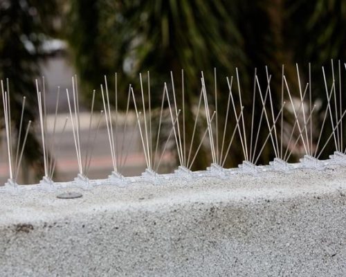 spikes.jpg spikes.jpg